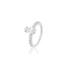 Adorn Duo Rings