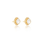 Devika Stud