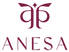 Translation missing: en.Anesa accessibility.home
